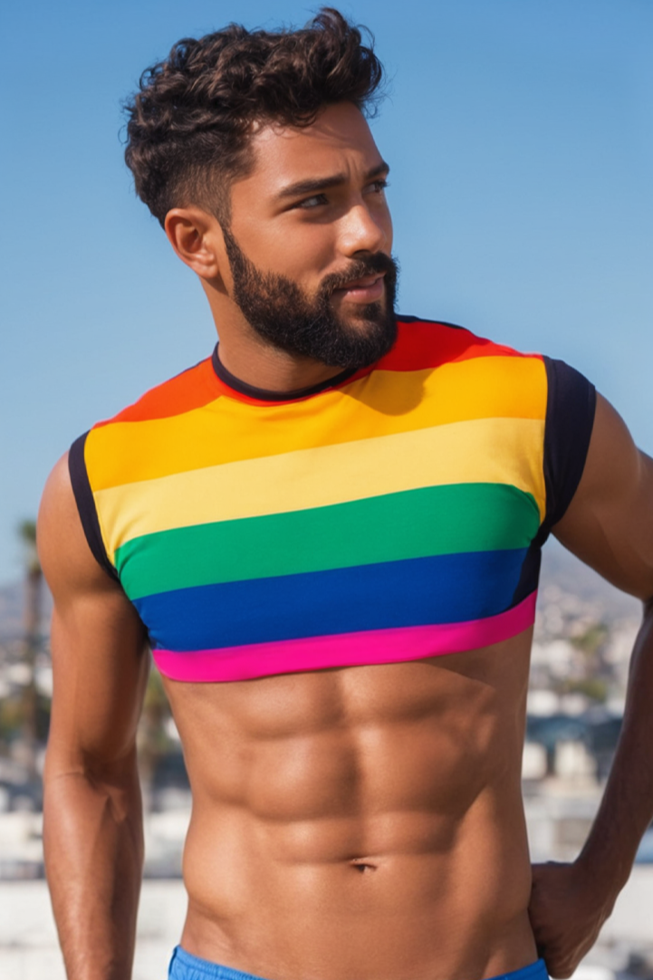 Stylish Rainbow Patchwork Crop Top
