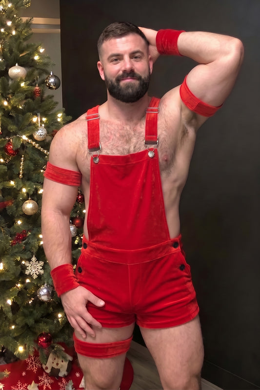 Joy-lgbt Tinsel Velvet Overall Shorts — Red